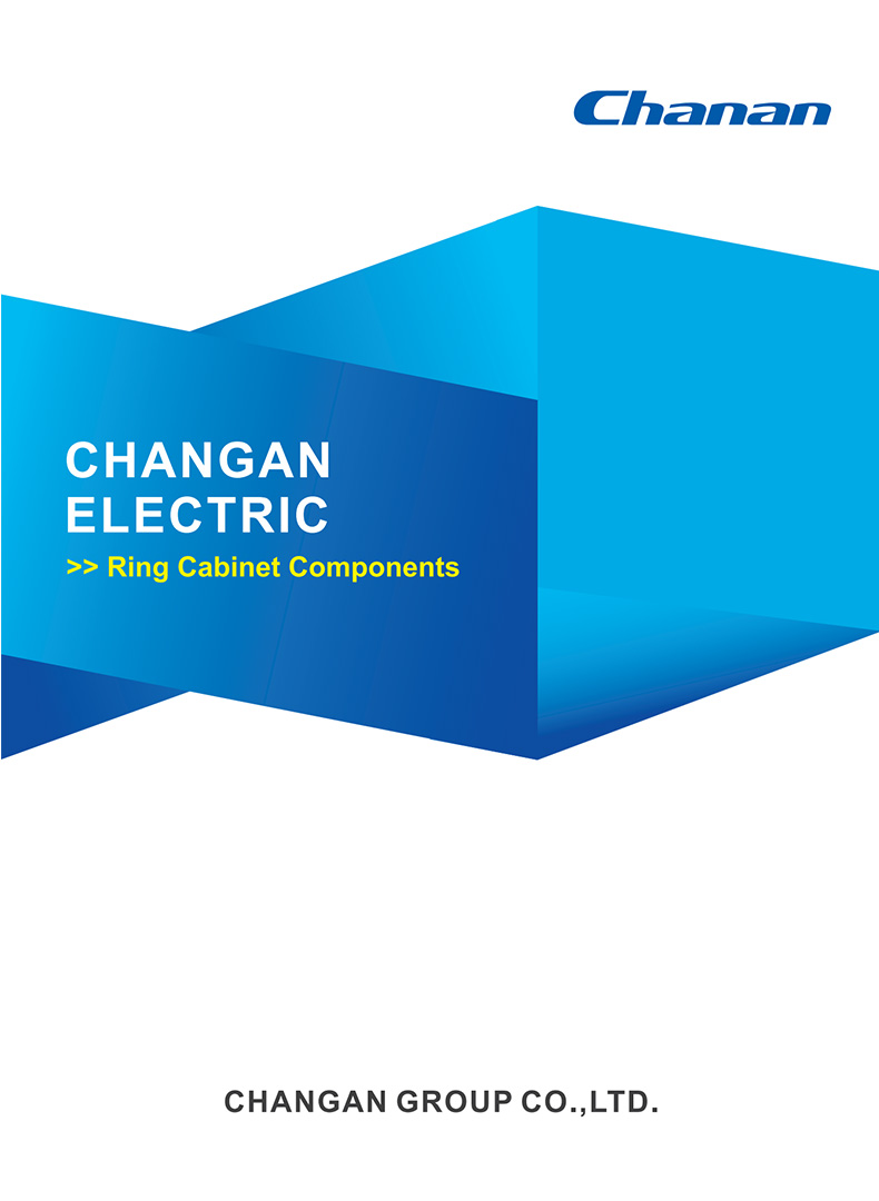 Changan Ring Cabinet Components 2023